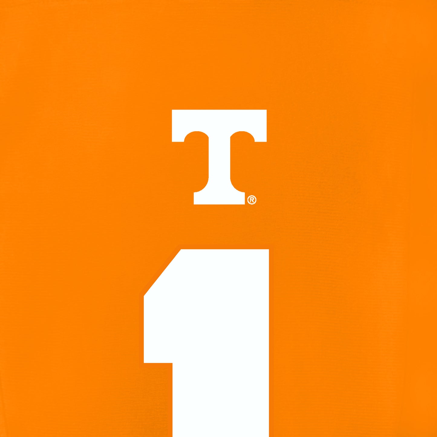 Official Team Logos & Colors