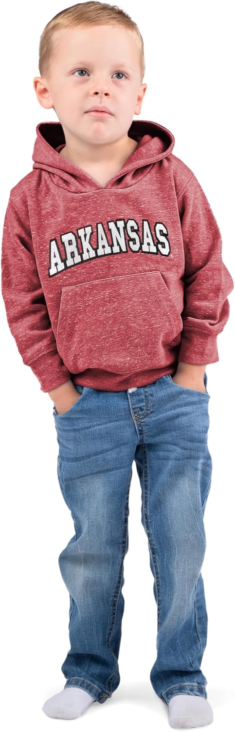 Little King NCAA Toddler Boys and Girls Knobby Hoodie Sweatshirt With Tackle Twill Letters