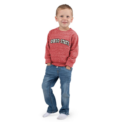 Little King NCAA Toddler Boys and Girls Crewneck Knobby Sweatshirt With Tackle Twill Letters