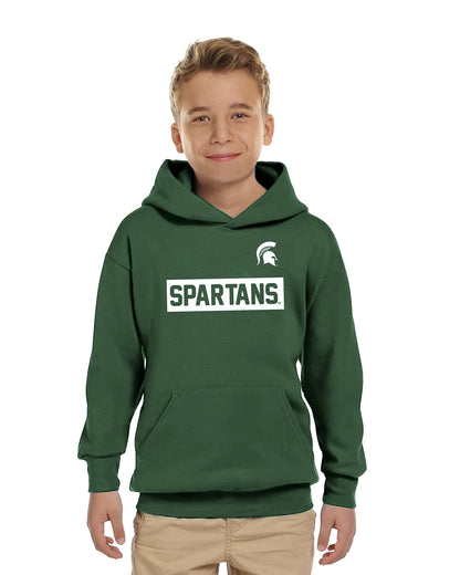 Little King NCAA Youth Boys-Performer-Hoodie Pullover-100% Polyester- Team Colors