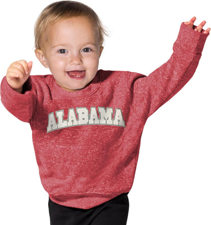 Little King NCAA Infant Boys and Girls Crewneck Knobby Sweatshirt With Tackle Twill Letters-Team Colors 6M 12M 18M