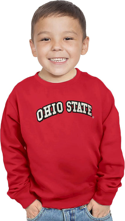 Little King NCAA Toddler Boys and Girls Crewneck Sweatshirt With Tackle Twill Letters-Team Colors